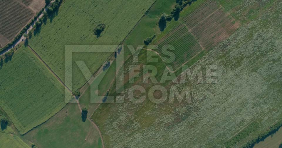 Author - YES FRAME